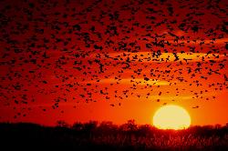 SonnenEnergie: Damit die Sonne über unserer Energieversorgung nicht untergeht